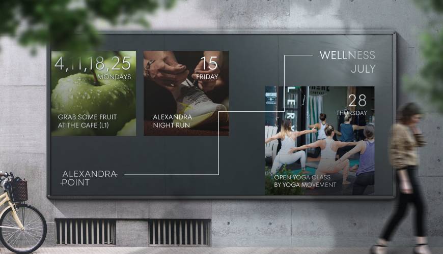 子洲县画册设计公司如何进行品牌审核